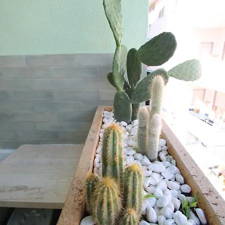 Acquamarina * 갈리폴리